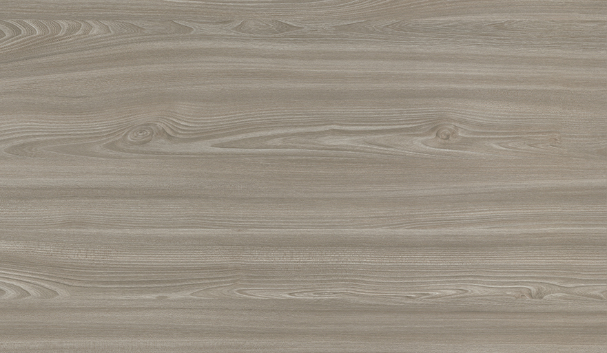 Brijest Tossini sivo-bež