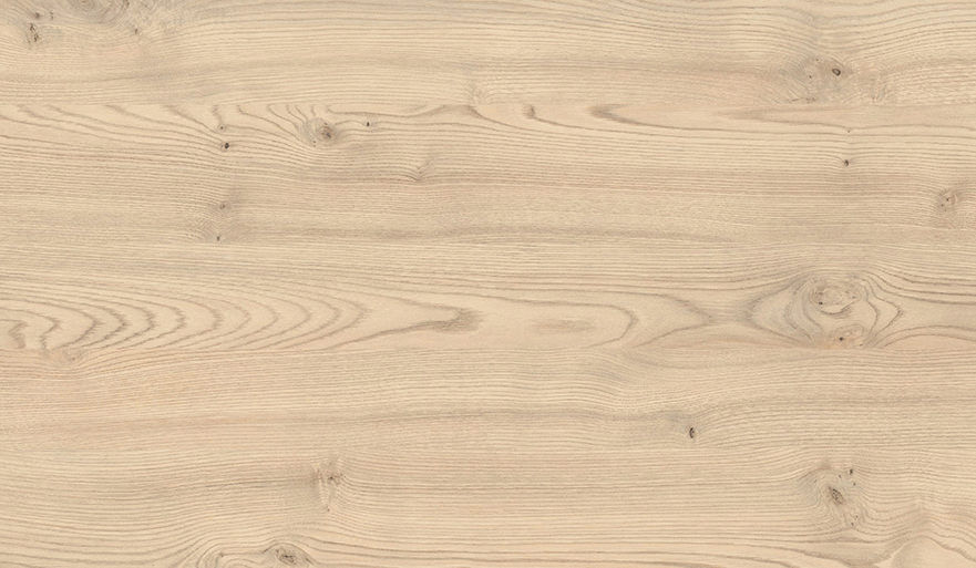 Kesten Kentucky pesak