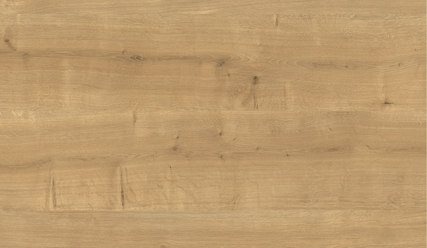 Hrast Hamilton natur