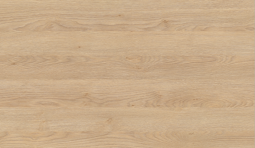 Hrast Gladstone pesak