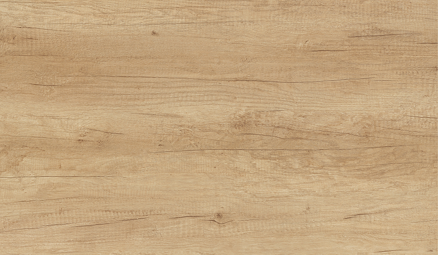 Hrast Nebrasca natur